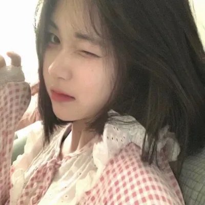 盗贼生涯